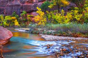 Zion Canyon, Fall-4504.jpg